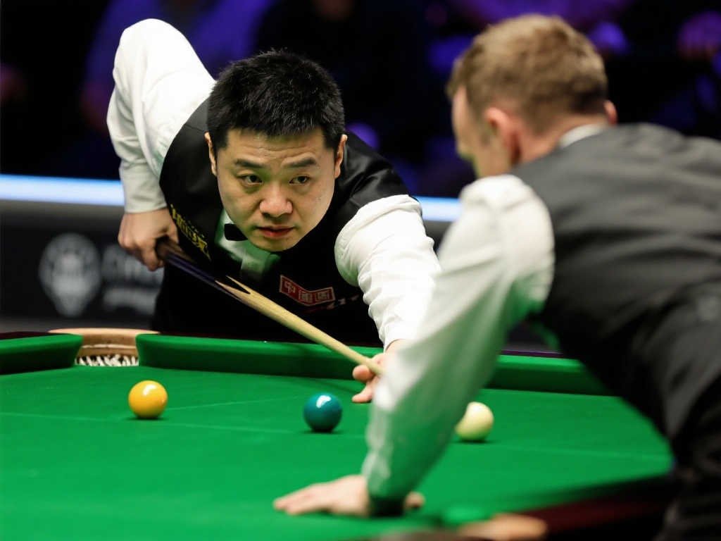 或许是为了 或许是为了